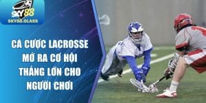 Cá Cược Lacrosse