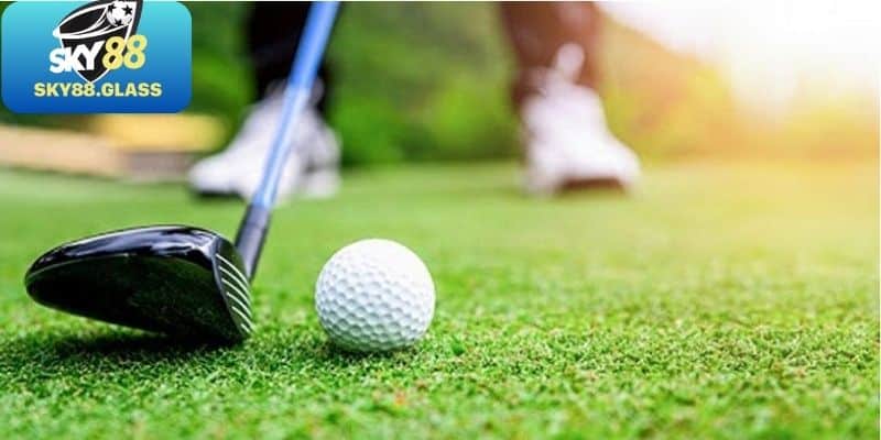Các bước cơ bản tham gia cá độ Golf hiệu quả