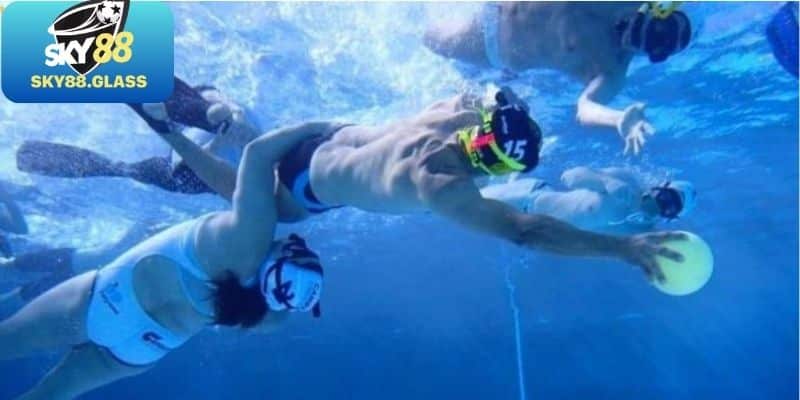 Khám phá môn bóng nước và các cơ hội cá độ hấp dẫn