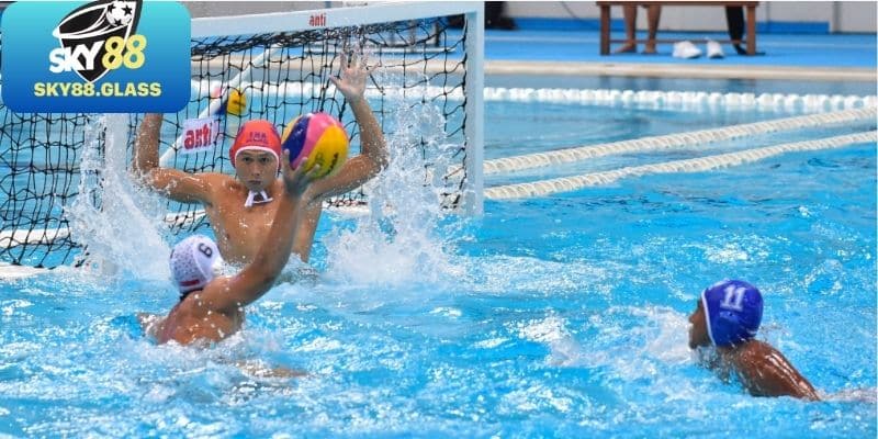 Mẹo chơi cá độ bóng nước hiệu quả từ chuyên gia