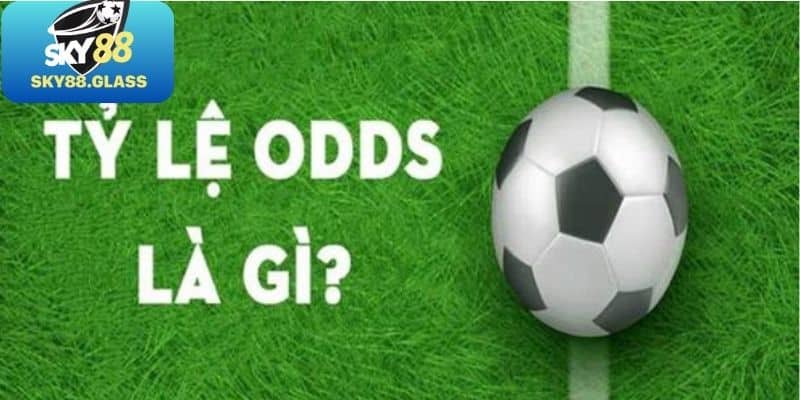 Những thông tin chính có trong odds