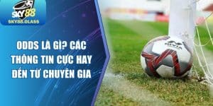 Odds Là Gì