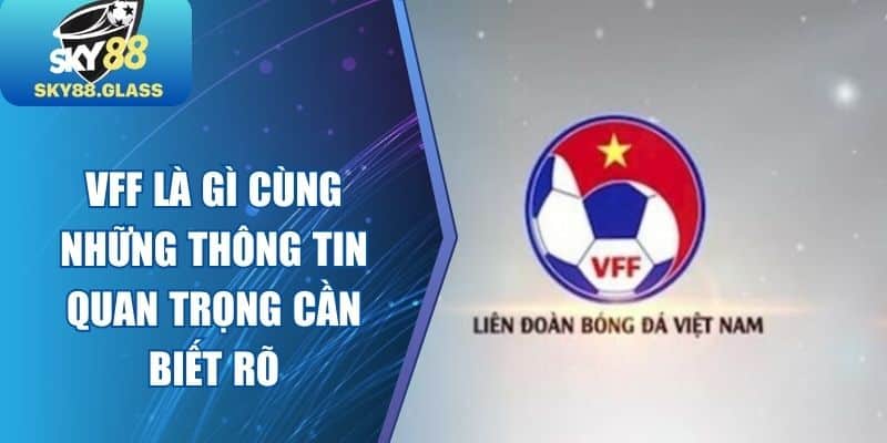 VFF Là Gì